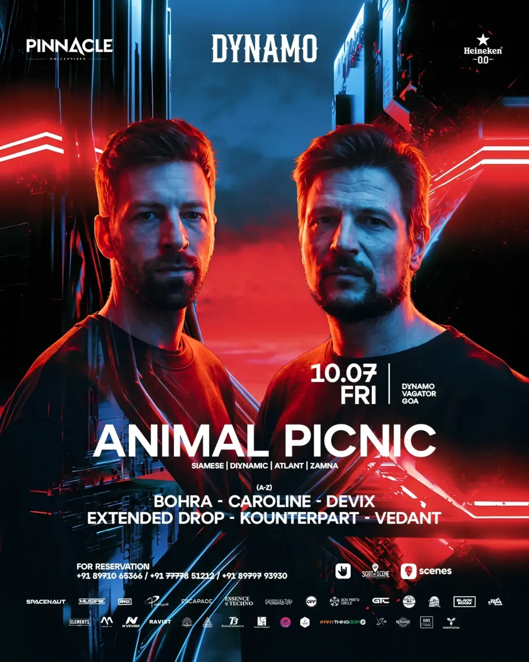 Animal Picnic